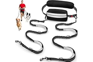 Godyoy Hands Free Dog Leash for 2 Dog with Safety Lock and Extra-Thick Waist Belt, Waist Leash for Dog Walking Running, Double Retractable Dog Leashes for Two Dogs with Double Padded Handles, Black