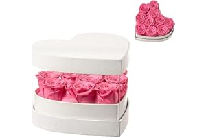 Beaulasting Roses Forever Flowers in Heart Shape Box 10-Piece Handmade Preserved Roses Last Over a Year Eternal Roses Gift for Wife Mothers Day Valentines Day (Golden Pattern Box, Pink Roses)