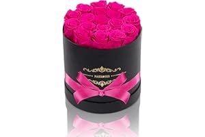 NATROSES Handmade Preserved Roses in a Box, Long Lasting Roses That Last Up to 3 Years, Real Roses Mothers Day Valentines Day Gifts for Her (Radiant Pink)