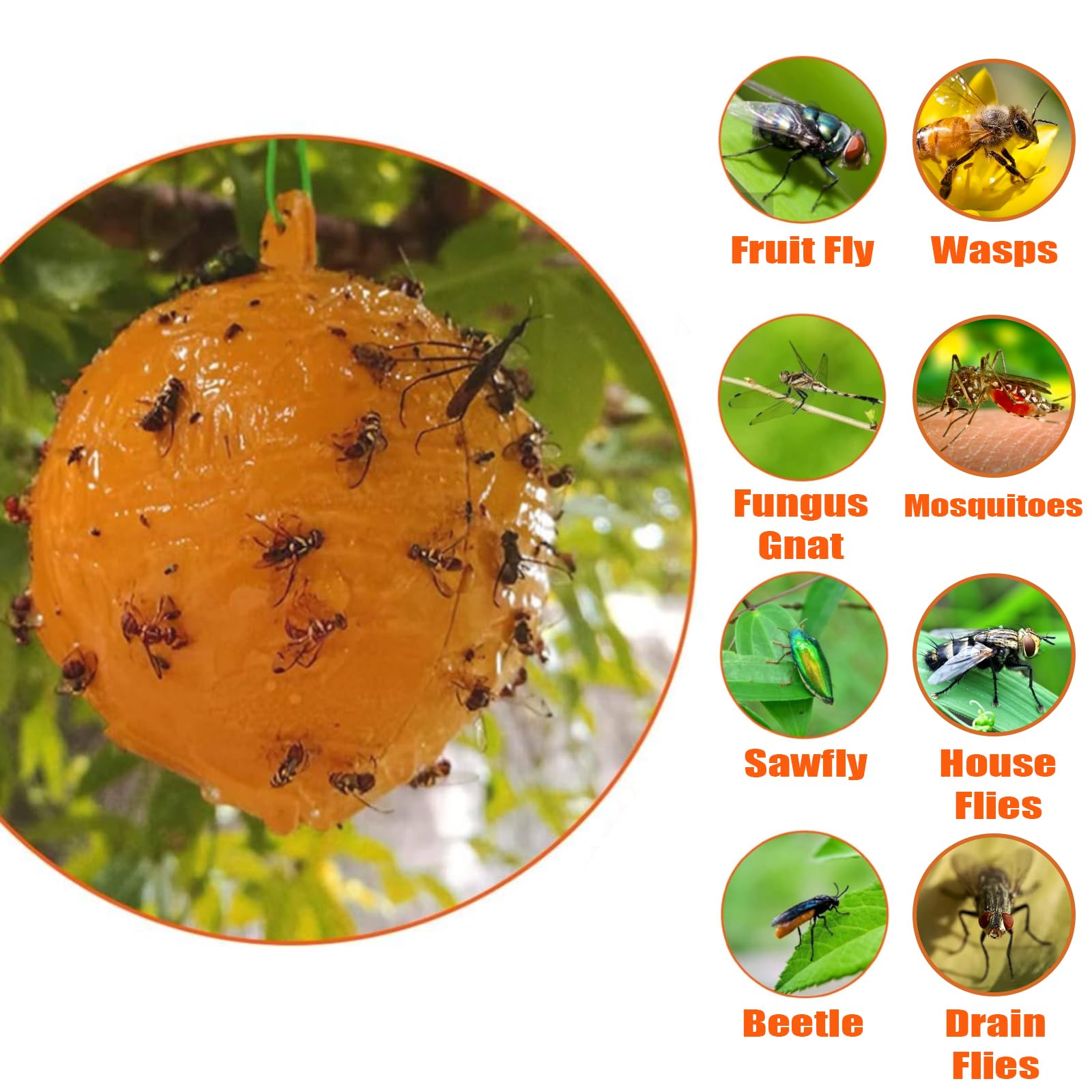 Fly Sticky Ball Fly Trap Outdoor, 6 PCS Fly Traps Ball Indoor, Hanging Sticky Bugs Gnat Ball for Garden Plants Trees Flies Gnat Wasp Bugs