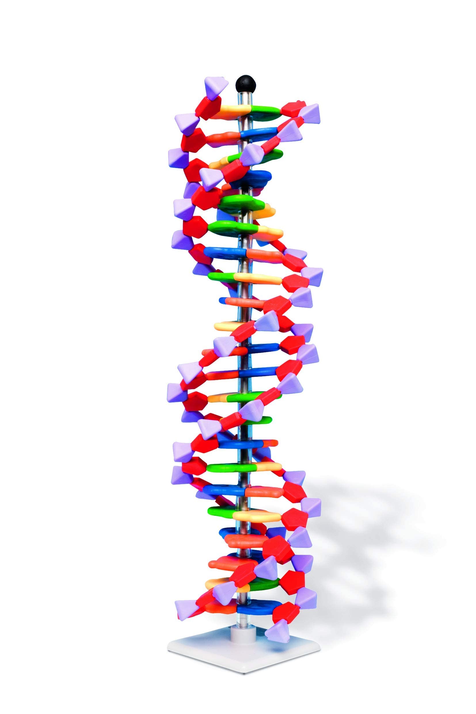 Molymod DNA Double Helix Model, 22 Segments, miniDNA Kit