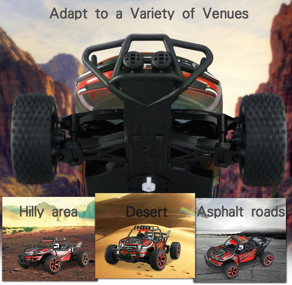 Zhencheng 1/18 Scale Electric RC Rally Car Truck 2.4Ghz 4WD Extreme Speed Buggy Sport Car Toy Vehicle,Color May Vary