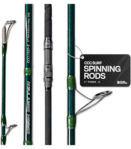 Amazon.com : Daiwa TD Surf Spinning Rod 9ft Medium Heavy 2 Piece