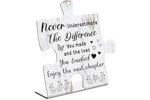 TRCENDE Never Forget Puzzle OfficeThank You Gifts For Coworkers, Teachers, Mentors, Appreciation Gifts for Boss Coach Leader, Enjoy the next chapter, Metal Puzzle Office Signs & Plaques xpp234