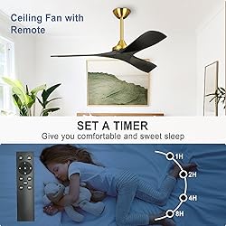 BvenuBigLite Modern Ceiling Fan with Remote: Black