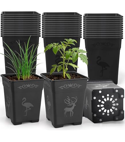 Amazon.com: Black Square Pot 5 Inch x 5 Inch x 6.5 Inch