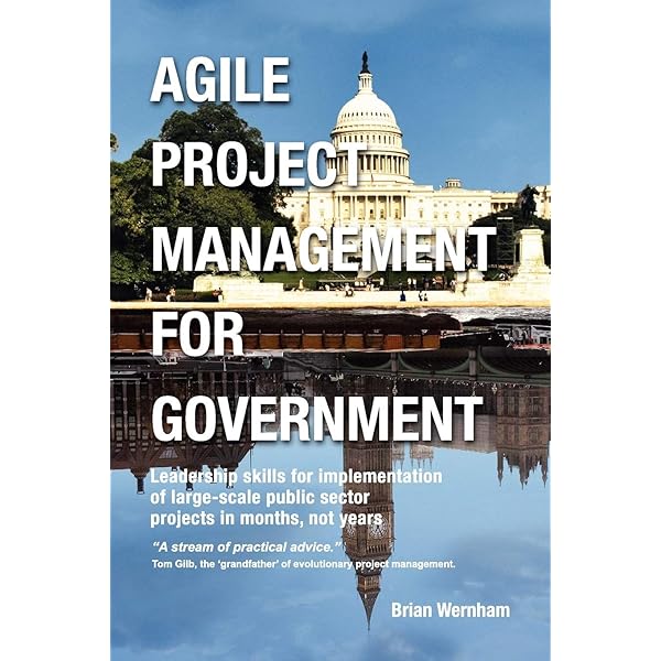 Managing Public Sector Projects: A Strategic Framework for Success