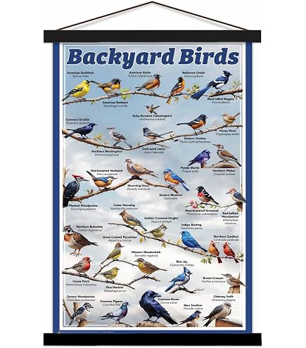 Endangered Birds Chart With Names