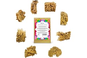 NAROA Artist Natural Sea Sponges for Painting 8 Pack | Unbleached Unique Art Tool Set | Suitable for Acrylic Watercolor, Marbling, Texturing, Pottery, Ceramics