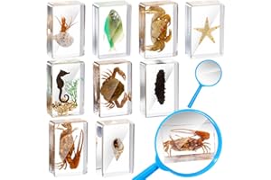Rotatingpals 9 Pcs Marine Ocean Life Specimen Set Term Begins for Gifts Sea Animal Insect in Resin Collection Paperweights with Magnifier Animal Specimen