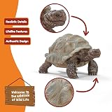 Schleich Giant Tortoise Figurine Realistic Galapagos Turtle Wildlife view 5