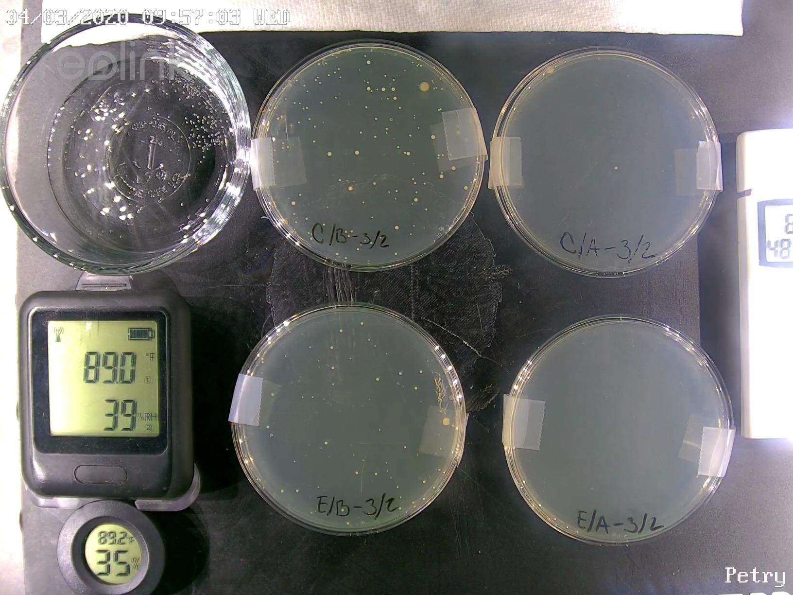 20/mo Finance PhoneSoap Pro UV Smart Phone Sanitizer & Universal