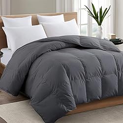 TEXARTIST Premium 2100 Series Full Comforter All