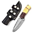 SharpWorld Beautiful Damascus Knife Made of Remarkable Damascus Steel and Exotic Handle -Best Hunting Knife with Sheath TJ102