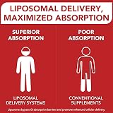 Gozitepe Liposomal CoQ10 Ubiquinol 600mg 60 Softgels High Absorption view 3