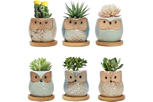 Warmplus 2.5 inch Owl Succulent Plant Pots - Mini Ceramic Planter with Drainage Hole for Mini Succulent Plants, Plants Not Included, Cute Succulent Kit 6 Pack
