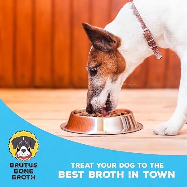 BRUTUS BONE BROTH LIQUID FOR DOGS | ALL NATURAL | MADE IN USA | GLUCOSAMINE & CHONDROITIN FOR HEALTHY JOINTS | HUMAN GRADE INGREDIENTS | HYDRATING DOG FOOD TOPPER, GRAVY & TREAT (PORK)