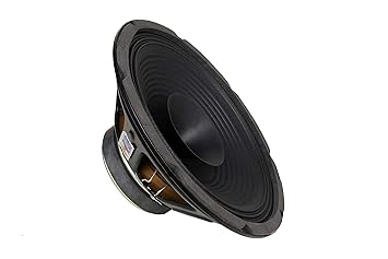 12 full range speaker