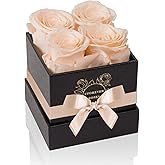 UFOREVER ROSES 4-Piece Preserved Roses in a Box, Preserved Flowers, Roses Gift for Her, Buttermilk