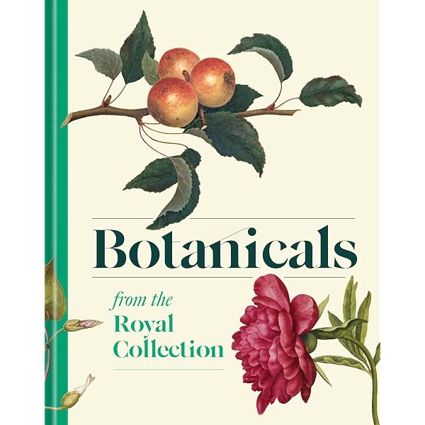 Botanicum (Mini Gift Edition) (Welcome To The Museum): Katie Scott