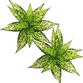 LOVENIMEN Artificial Magnolia Plants Decoration, Fake Agave Plastic Grass Faux Greenery Plant UV Resistant Shrubs for Indoor Outdoor Home Garden Porch Christmas Wedding Table Décor Yellow 2 Pack