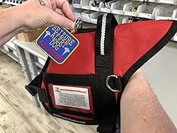 Seizure Alert Dog” Identification Patch Tag