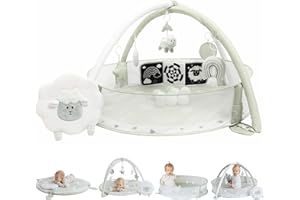 Aila+Aiden 6-in-1 XL Play Mat & Play Gym, Baby Gym, Baby Activity Gym, Sensory Exploration and Motor Skill Development Toys (Sage)