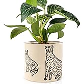 STHIE 5 Inch Ceramic Planters for Indoor Plants, Funny Small Plant Pots with Drainage, Unique Decorative Cute Flower Pot Pant