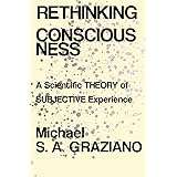 Rethinking Consciousness: A Scientific Theory of Subjective Experience