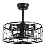 SYXLCYGJ Caged Ceiling Fans with Lights Remote