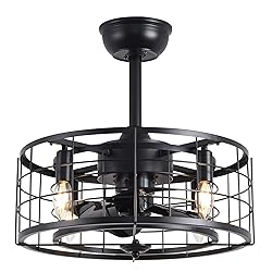 SYXLCYGJ Caged Ceiling Fans with Lights Remote