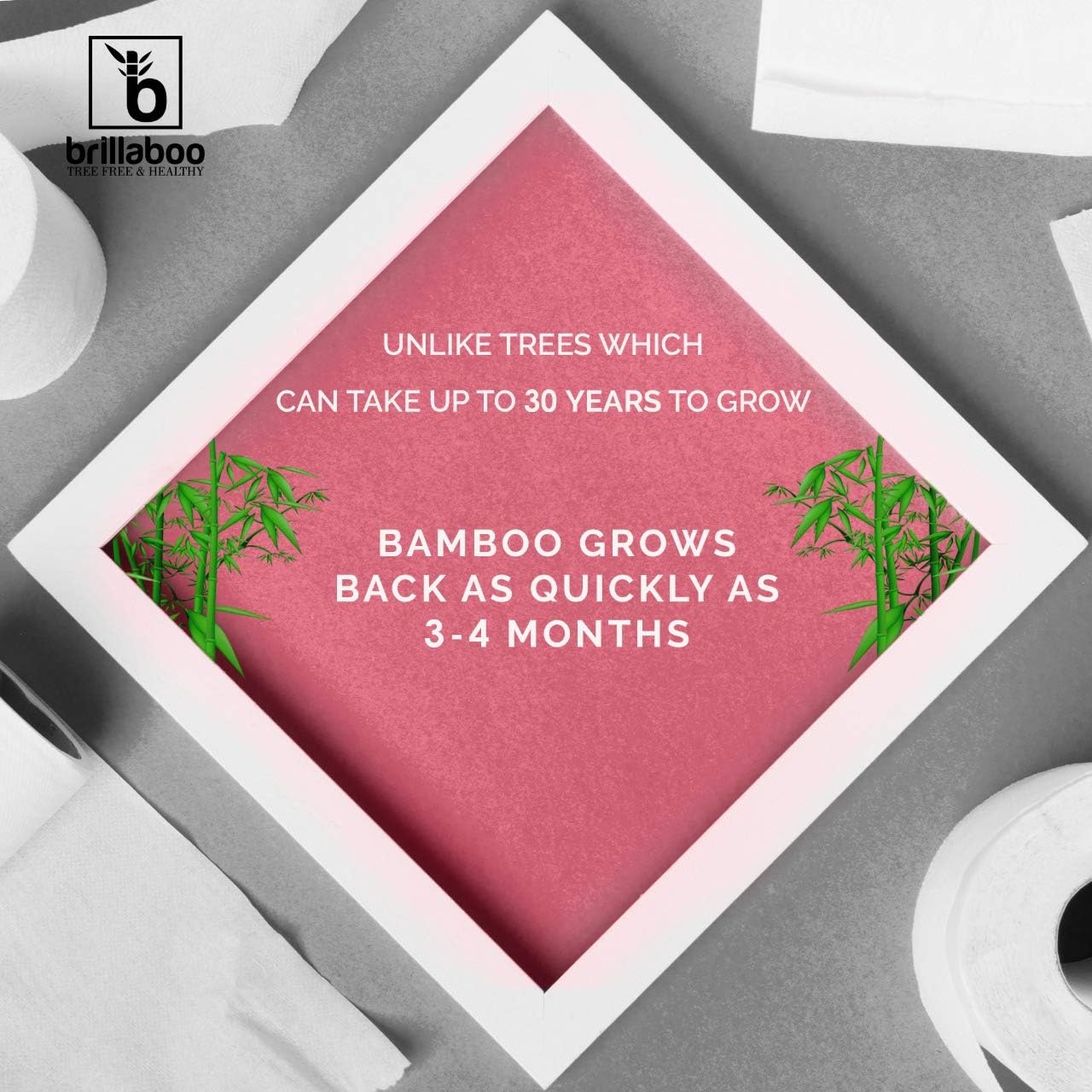 BrillaBoo Pure Bamboo Toilet Paper | 100% Tree Free Hypoallergenic Bamboo Toilet Paper For Sensitive Skin | Plastic, Tree & Lint Free | Septic-Safe - 3 Ply - 200 Piece Roll | 12 Rolls: Health & Personal Care