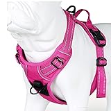 JUXZH Truelove No Pull Dog Harness with Easy