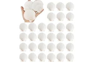 YUNMOE 30PCS Natural Scallop Shells 2.3''-3'' White Sea Shells for DIY Craft Making, Hand Painting, Ocean Themed Party and Ho