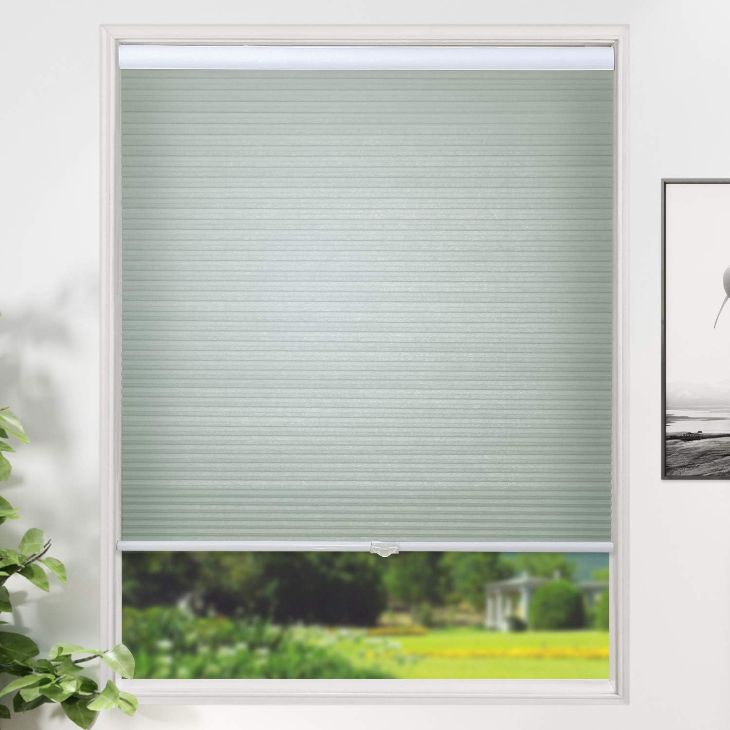 SUNFREE Cordless Cellular Shades Honeycomb Blinds Light Filtering Shades for Window and Door, Home and Office 35 x 64 inch Celadon