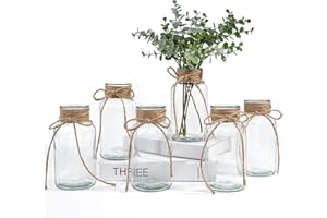 ASHELYULLA Vintage Glass Vases for Flowers, Set of 6 Clear Vases for Farmhouse Wedding Centerpiece Cylinder Bottle for Reception Table Decoration Home Decor Floral Arrangements