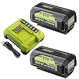 2Pack 6.0Ah Replacement for Ryobi 40V Battery and
