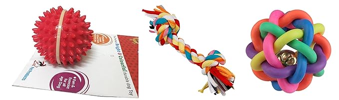 Foodie Puppies Dog Rubber Chew Toy Combo (Spike Dental Ball + Rainbow Sound Ball + Chew Toy Rope) - Color May Vary