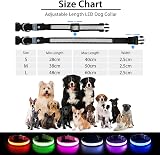 PcEoTllar Light Up Dog Collar Rechargeable 8 Modes 7 Colors Adjustable view 6
