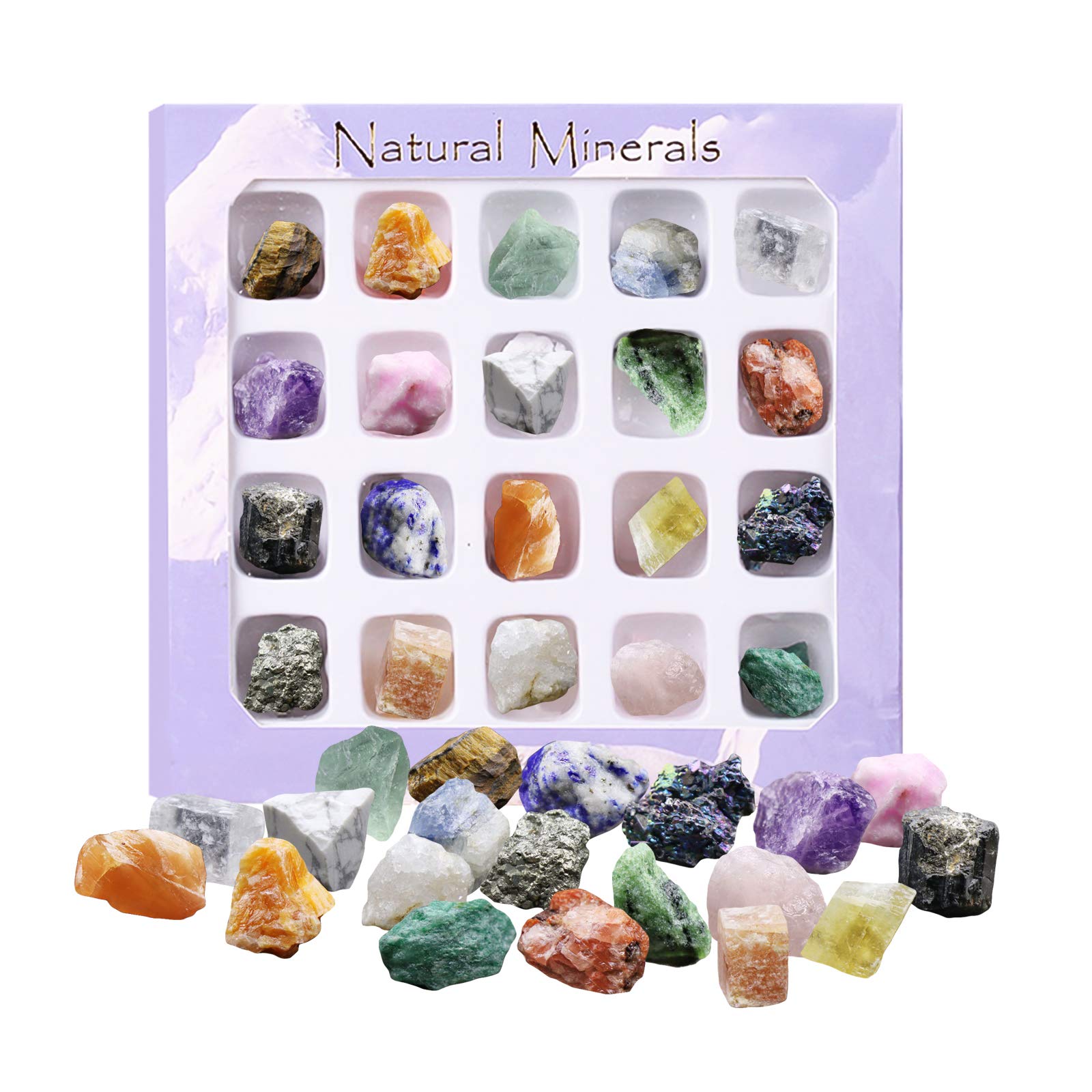Haokaini 20pcs Rock Collection Kit Mineral Collection Educational Sample Natural Mineral Ore Specimens Set