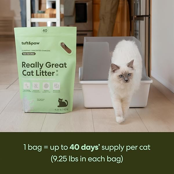 TUFT & PAW REALLY GREAT CAT LITTER, ULTRA LOW TRACKING TOFU CAT LITTER, CLUMPING, FLUSHABLE, ODOR CONTROL, DUST-FREE, UNSCENTED – 9.25LBS X 2BAGS (CHARCOAL)