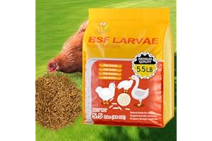 GOLDWORMS 5.5LBS Black Soldier Fly Larvae Superior to Dried Mealworm - BSF Larvae 85x More Calcium Than Meal Worms for Chickens - Black Solider Fly Larvaeis Treats for Laying Hens, Birds, Reptiles