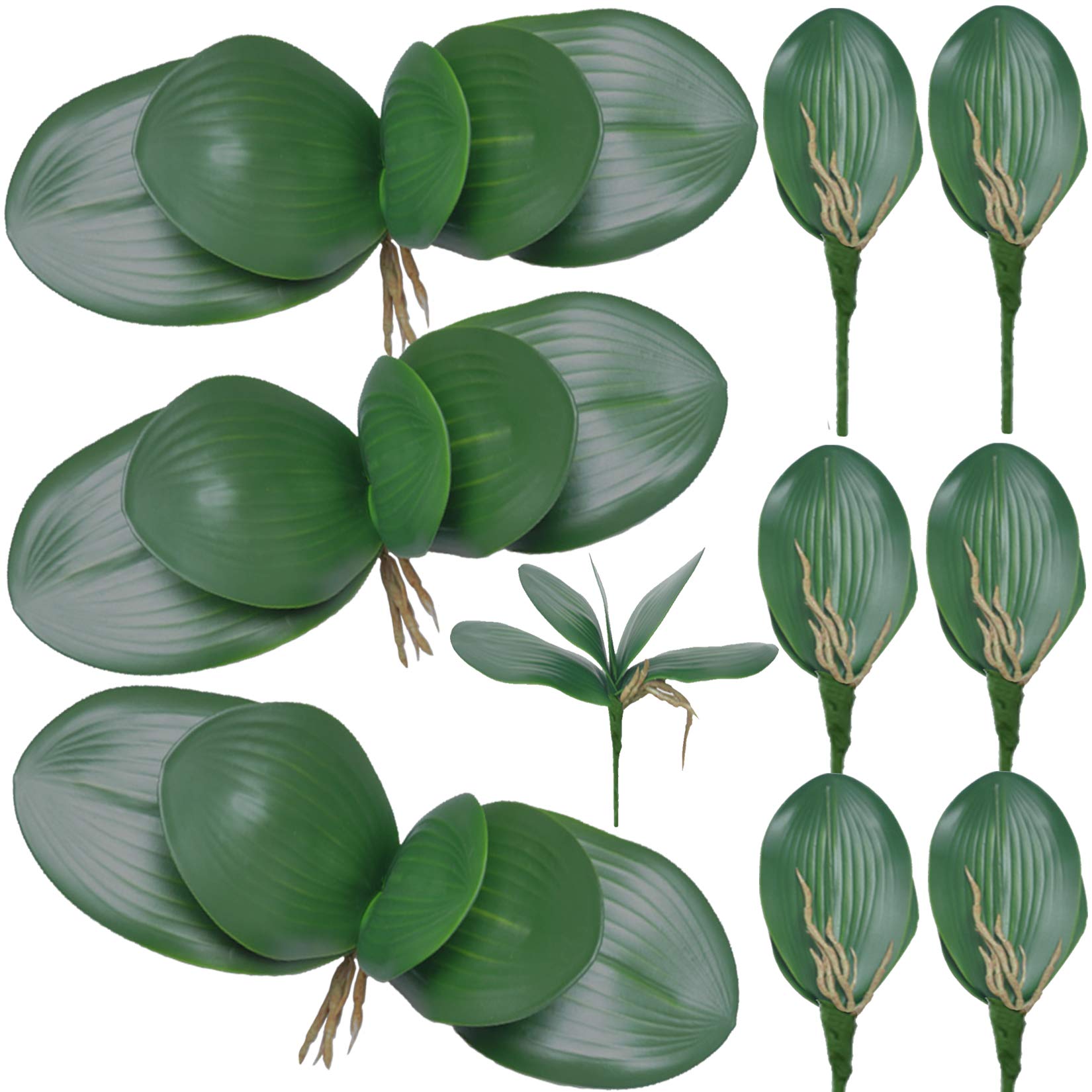 FagusHome 10 PCS Artificial Phalaenopsis Orchids Leaves 11 inches Green Faux Orchids Leaf (10 Pcs)