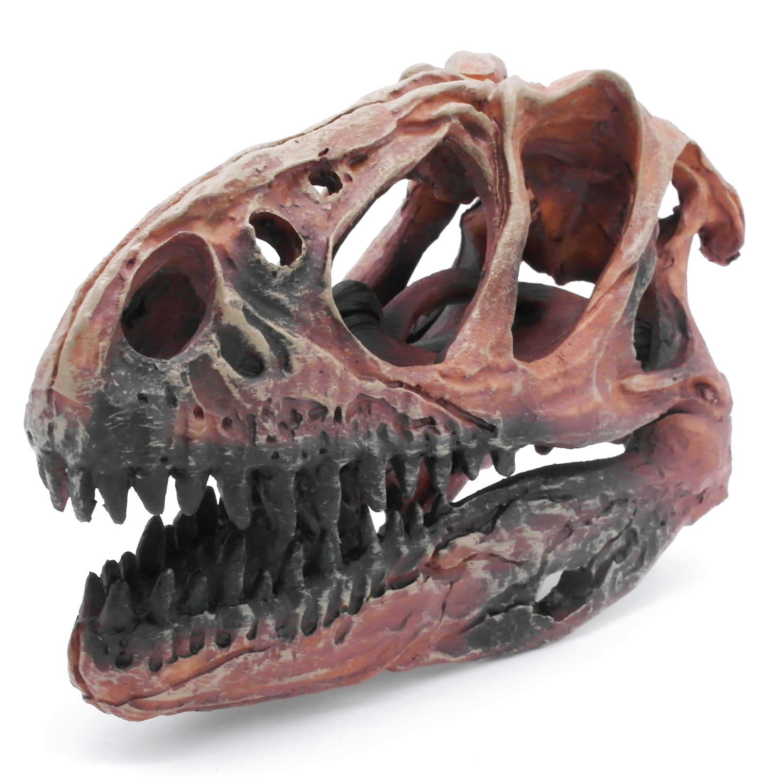 Kocris Casa Fish Hideout Aquarium Vivarium Décor Decorations Dinosaur Skull Fish Tank Decor Cave Dinosaur Skull Betta Animal Halloween Large Tarantula Reptile Bones Snake for Terrarium Ornament