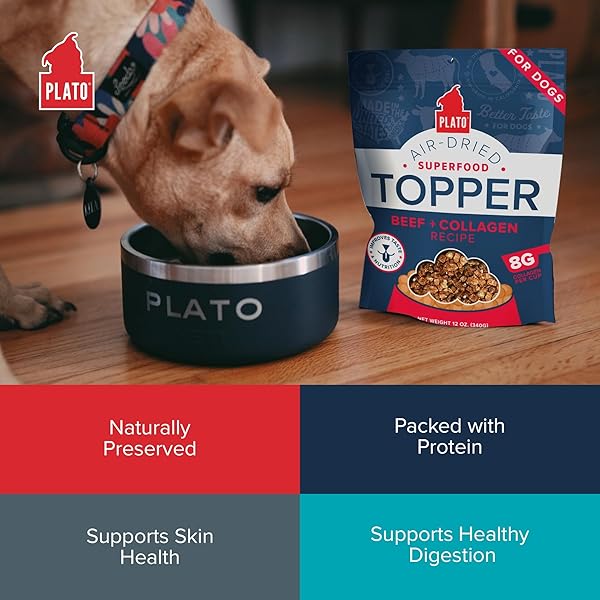 PLATO PET TREATS DOG FOOD TOPPERS – AIR-DRIED DOG FOOD TOPPERS FOR DRY FOOD – WITH COLLAGEN TO SUPPORT SKIN AND COAT HEALTH – BEEF AND COLLAGEN RECIPE 12OZ