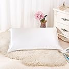 ALASKA BEAR - Natural Silk Pillowcase, Hypoallergenic, 19 momme, 600 thread count 100 percent Mulberry Silk, Queen Size with hidden zipper(Ivory white)