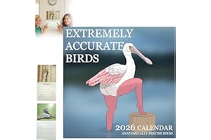 2026 Calendar of Extremely Accurate Birds – Bird Art Wall Calendar, Perfect for Bird Lovers & Ornithology Enthusiasts, Detail