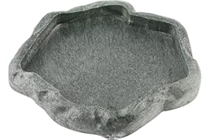 Baby Tortoise Water Dish Bathing Station for Outside Bearded Dragon Food Bowl Bowls Reptiles & Amphibians Feeding Slate Frog 