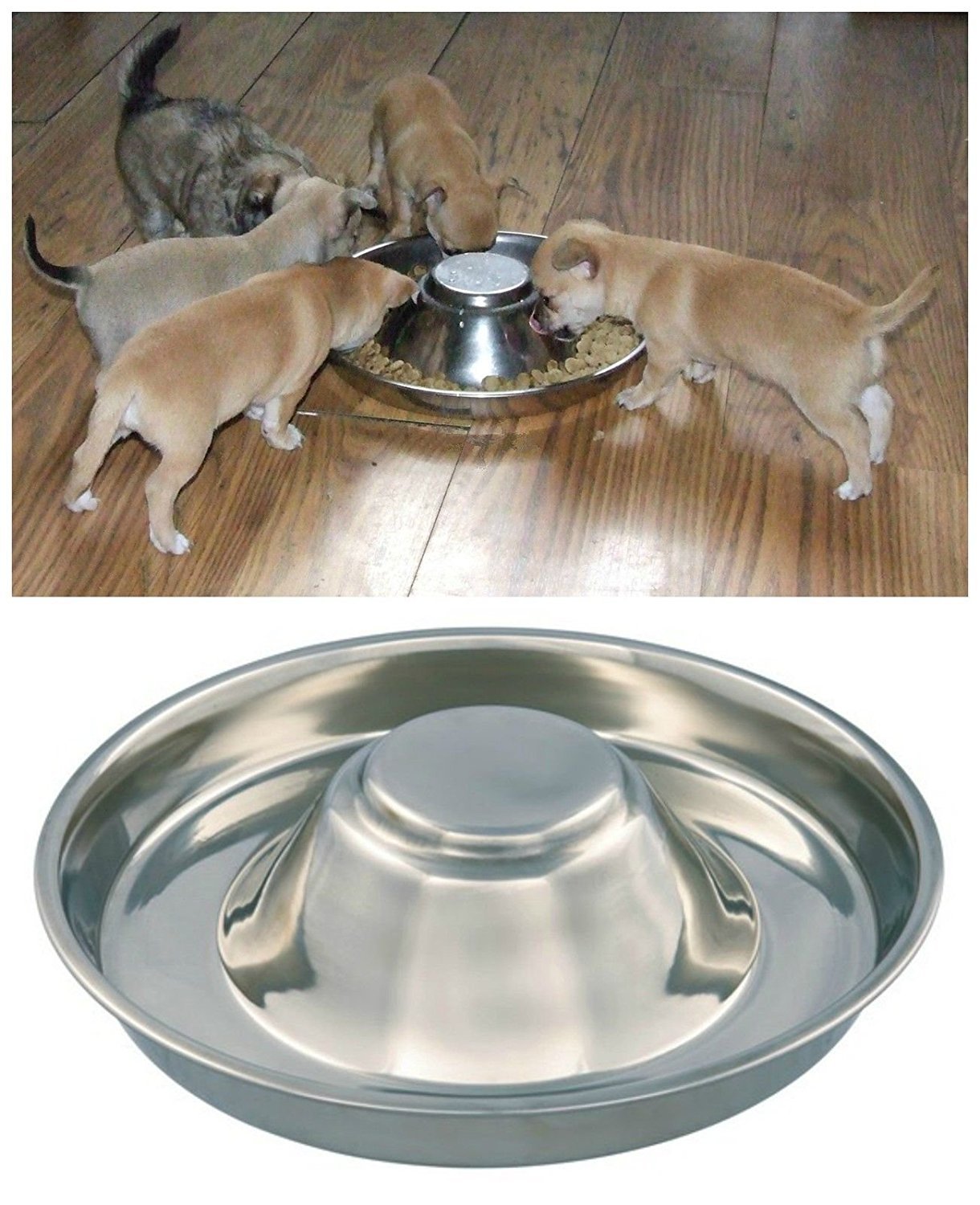 King International Stainless Steel Dog Bowl 1 Puppy Litter Food Feeding