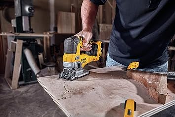 https://images-na.ssl-images-amazon.com/images/I/71dk0PnUZgL._AC_SX355_.jpg